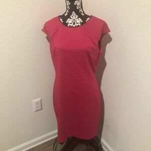 Belle Badgley Mischka Pink Dress